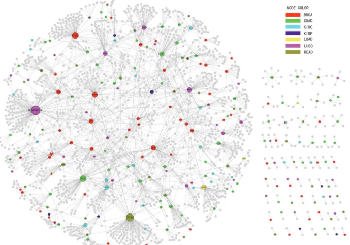 Fig 6. Sub-PPI network of seed genes. The nodes stood for the gene and colors stood for the differential genes in cancers