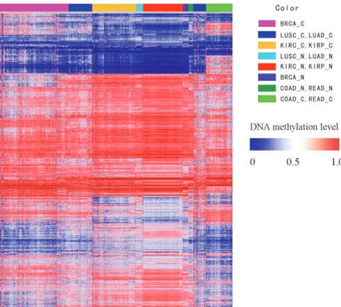 Fig 1. The bidirectional hierarchical clustering of cancer samples of seven phenotypes The letter C represented cancer, and N represented normal