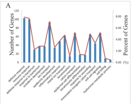 Fig 3. The function enrichment graph of differentially methylated genes The Y axis in the left and the blue histogram stood for the numbers of annotated in KEGG and BP, the Y axis in the right and red curve stood for the percent of annotated genes in BP an