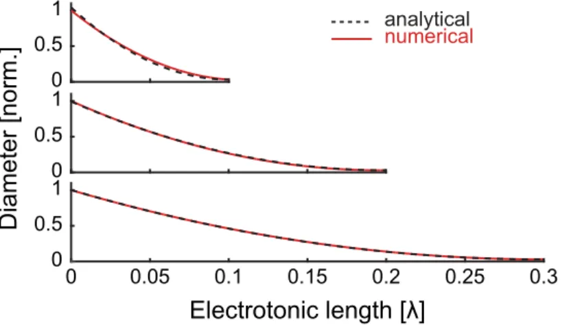 Fig 2. Diameter profiles to optimise current transfer. Comparison of non-parametrically optimised (red solid lines) and theoretical (black dashed lines) radius profiles for different electrotonic lengths of dendritic branch