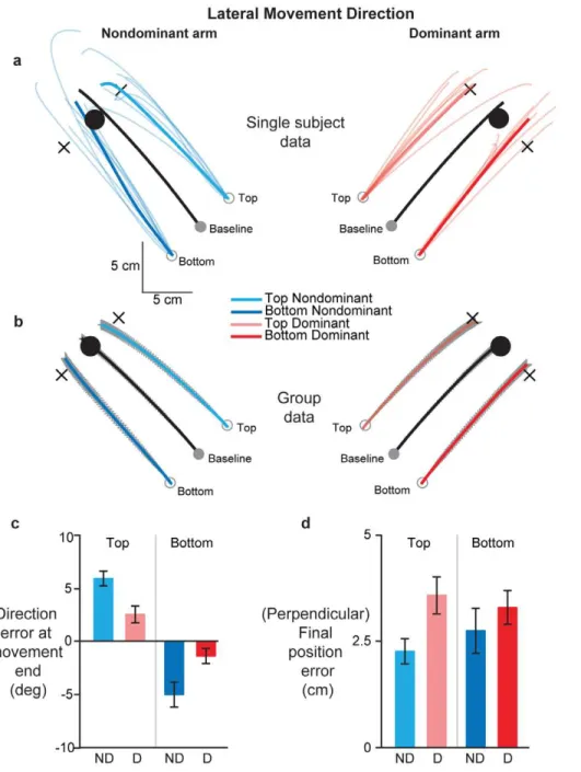 Figure 3. Effects of covertly shifting starting hand position orthogonally on dominant (red) and non-dominant (blue) arm movements in the lateral direction