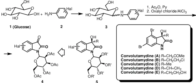 Figure 1. Synthesis of N-glucosylated indoline-2,3-dione (4).