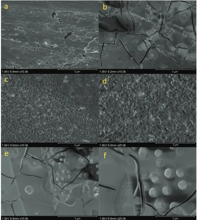 Figure 9: SEM images of titanium electrodes polarized at -3 kA m -2  for 20 min at 70  o C in 1.6 M NaCl with  100 mM hypochlorite and the following electrolyte additions: 80 mM molybdate (9 b);  