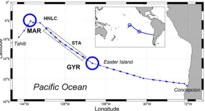 Fig. 1. Position of the short and long (large circle) stations during the BIOSOPE cruise.