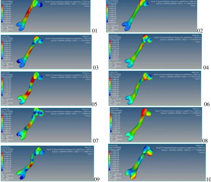Fig. 4. Ten  different mode shapes of the femur bone Model (Fixed-fixed boundary condition 