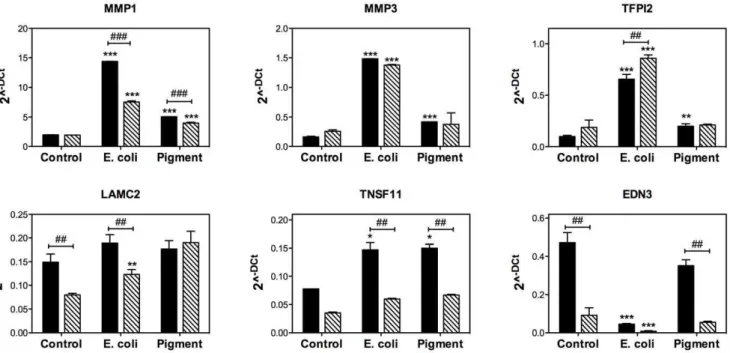 Figure 2. Quantitative real-time PCR confirmation of selected genes with differential expression in phagocytically challenged human TM cells under physiological (black bars) and oxidative stress (stripped bars) conditions