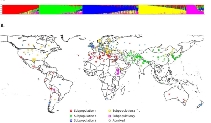 Table 2. Composition of the genetic clusters defined by STRUCTURE.