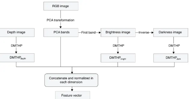 Figure 2: The feature extraction diagram using PCA and DMTHP.