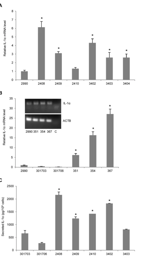 Figure 6. Increased production and secretion of IL-1a from transgenic keratinocytes. (A) Total RNA isolated from hITGB1-transgenic keratinocytes was used for porcine IL-1a specific qRT-PCR analysis