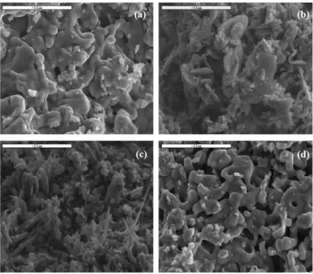 Fig. 2.  SEM micrographs show: a): a dense coat of halite salts, b) the crystallization of prism   and plate-like crystals of gypsum, c): fluffy and hair-like crystallization of salts,  