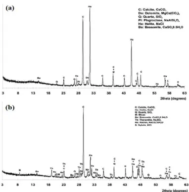 Fig. 3.  Representative XRPD patterns of: a - a surface salt deposit covers  the wall paintings (sample Ks1), b - a salt layer (sample Ks2)