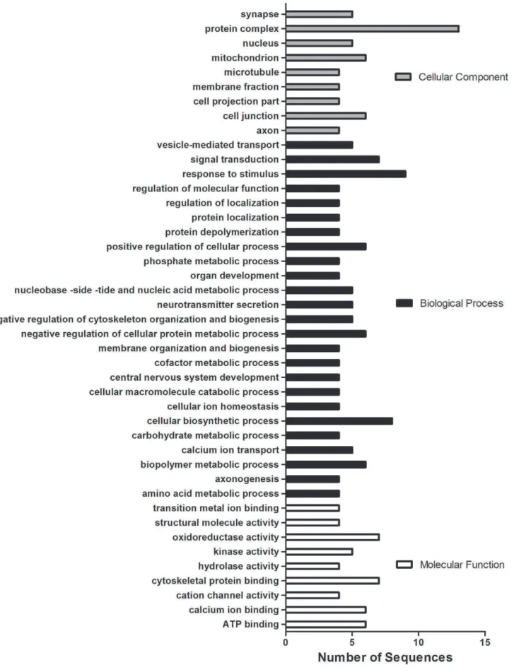 Figure 3. GO categorization of differentially expressed proteins identified in the current study