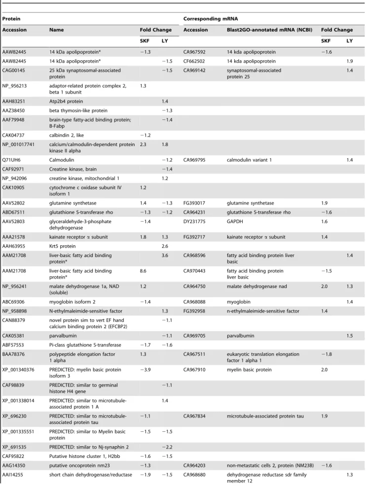 Table 1. Proteins and mRNAs identified and affected by DA agonists in the hypothalamus of goldfish.