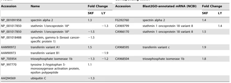 Table 1. Cont.