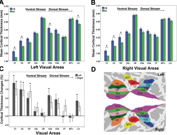 Figure 2. ROI-based analyses of the cortical thickness between CB and SC subjects. An asterisk (*) represents significant difference between groups