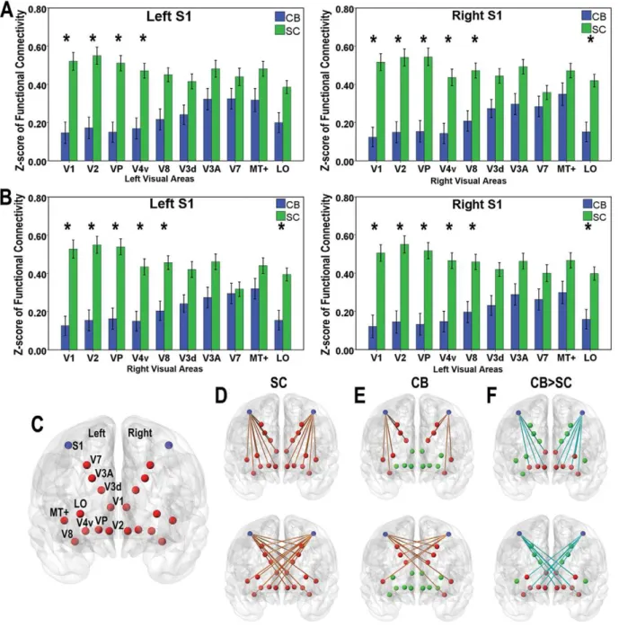 Figure 4. ROI analyses of the rsFC between the S1 and visual areas. A and B , the mean rsFC of CB (blue bar) and SC (green bar) subjects between intra-hemisphere and intra-hemisphere, respectively