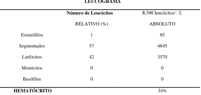 Tabela 1. Valor do leucograma e hematócrito obtido da ovelha (B)  LEUCOGRAMA  Número de Leucócitos  RELATIVO (%)  ABSOLUTO  Eosinófilos  1  85  Segmentados  57  4845  Linfócitos  42  3570  Monócitos  0  0  Basófilos  0  0   HEMATÓCRITO                     