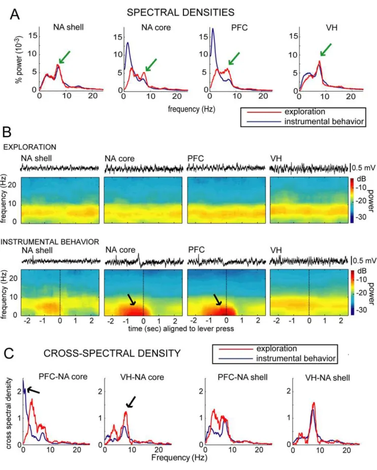 Figure 2. Dominant frequencies in the VH, NA and PFC field potentials differ between exploration and goal-directed behavior