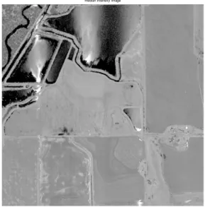 Figure 2. 2m DEM of the test area in L’Anguille river   basin  