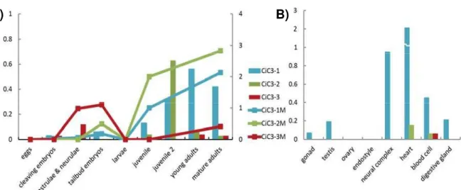 Fig. 4 Comparison of expression intensities among CiC3-1, CiC3-2 and CiC3-3. CiC3-1, -2 and -3 are shown in  light blue, light green and red, respectively