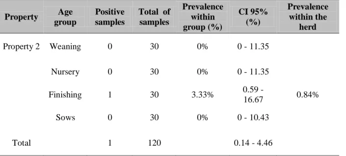 Table I. Data on the prevalence of BVDV-1 in Property 2. 