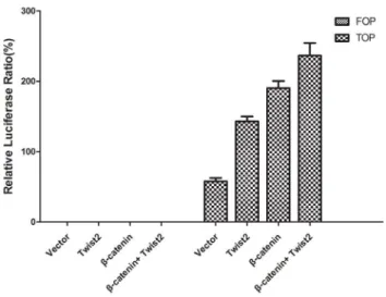 Table 2. Primers used for Real Time PCR.