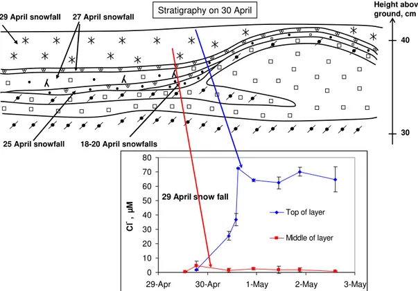 Fig. 8. Stratigraphy of the Ny- ˚ Alesund snowpack on 30 April 2001, and time series of the Cl − concentration in two levels of the 29 April layer.
