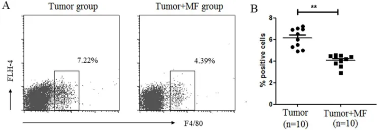 Figure 4. Magnetic fields transform the development of macrophage subsets. (A) Proportion of F4/80 + macrophage cells in PBMC was detected by flow cytometry
