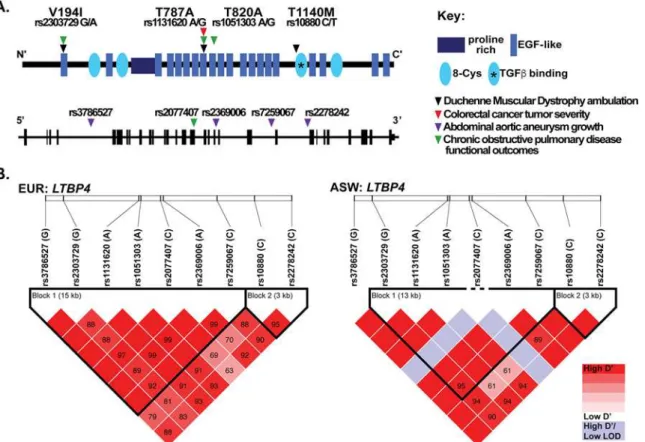 Fig 2. Single nucleotide polymorphisms (SNPs) in LTBP4 modify many human diseases. A. The protein schematic of human LTPB4 protein, with arrowheads indicating the position of the non-synonymous SNPs (nsSNPs) that have been reported to associated with disea