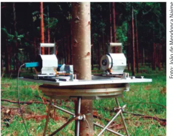 Figura 9 – Da Medicina para a Agricultura, tomografia traz novas ferramen- ferramen-tas para a avaliação de árvores e do solo