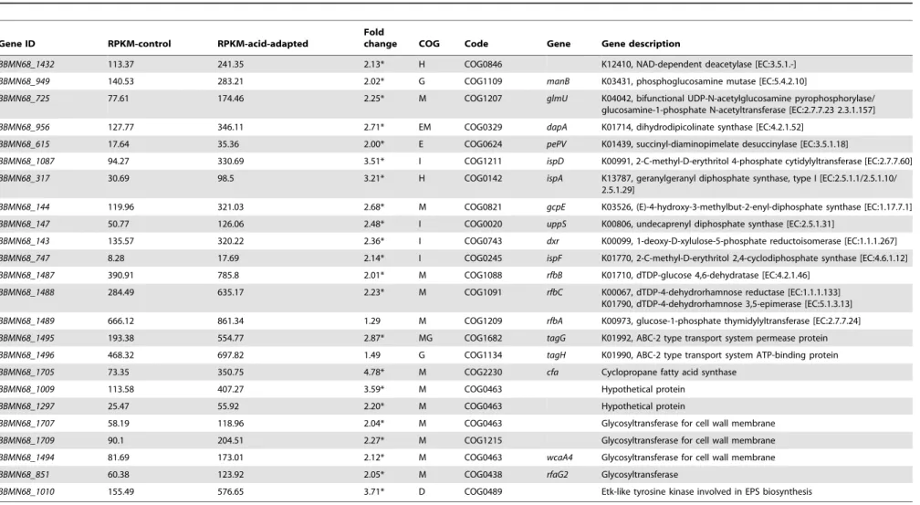 Table 2. Changes in expression of the genes involved in biosynthesis of Cell Envelope and Membrane (CEM).