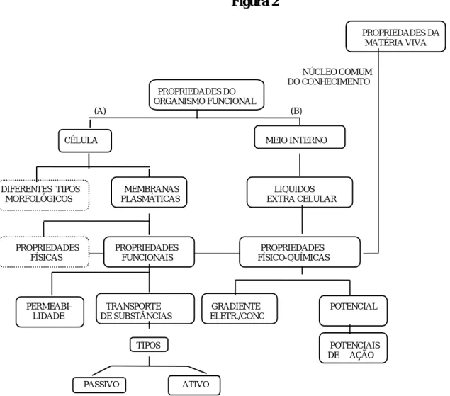 Figura 2                                                                                                                                            PROPRIEDADES DA                                                                                             