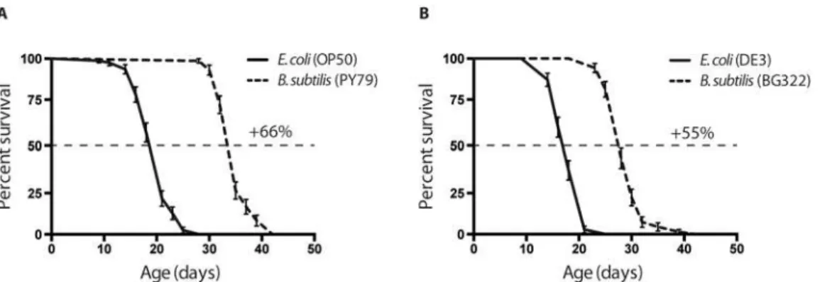 Fig 1. Effects of various E. coli and B. subtilis strains on longevity. (A) Worms fed on wild type B