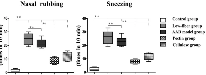 Fig 2. Altered allergic response. Compared with the AAD model group, the control group showed no or fewer allergic symptoms, whereas the low-fiber group showed remarkable frequency of nasal rubbing and sneezing