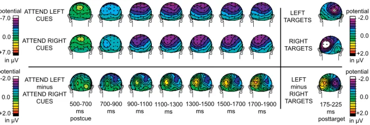 Figure 5 shows back-view topographic plots of the activity triggered by the attention-directing cues in 200-ms bins between 500–1,900 ms post-cue, separately for attend-left and attend-right cues (two top rows)