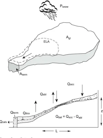 Fig. 10. Illustration of fluxes and areas relevant for estimating the mass budget of calving glaciers.