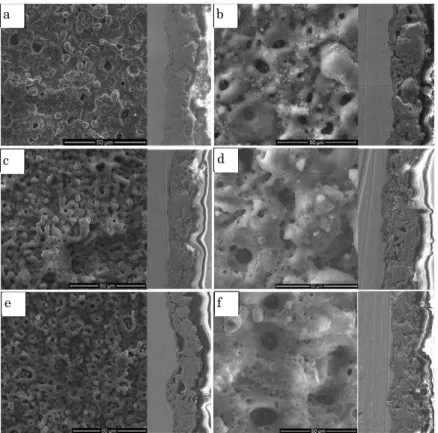 Fig. 1 – The surface morphology and structure of the cross section of MAO coatings: a) VT1-0 microporous coating, l  10 ± 1 m; 