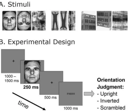 Figure 1. Examples of Stimuli and Experimental Trial. A. Examples of the nine stimulus conditions
