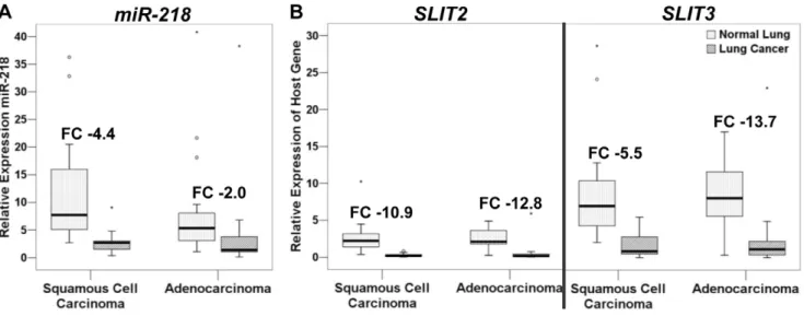 Figure 2. Expression of miR-218 and its host genes in primary NSCLCs and their paired normal lung