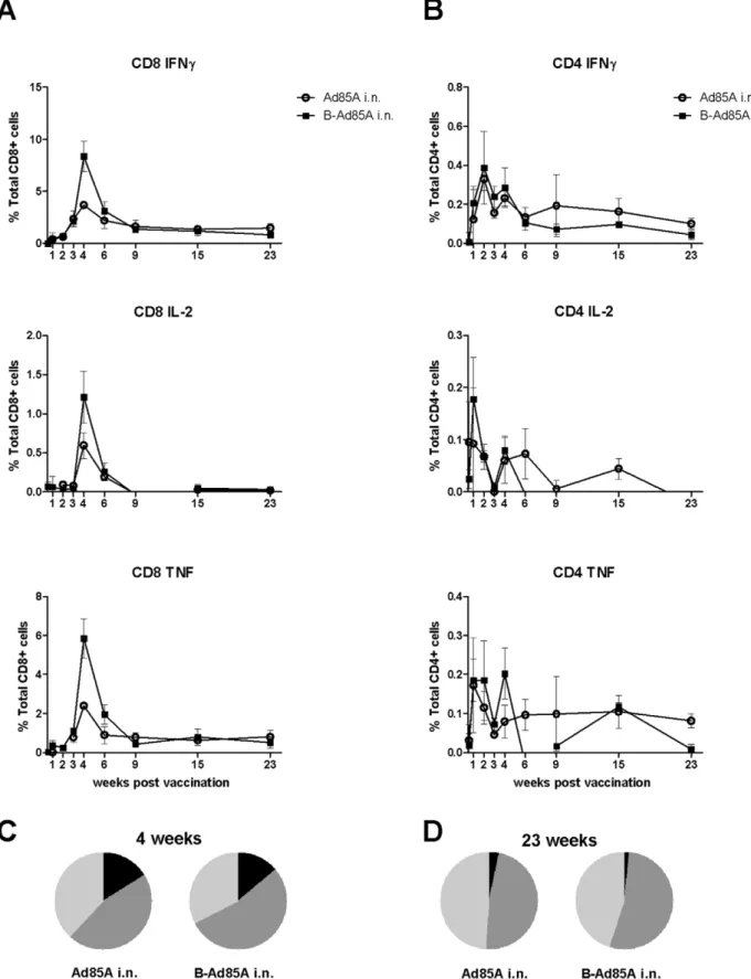 Figure 3. Cytokine responses of lung T cells to antigen 85A. Mice were immunized with Ad85A i.n