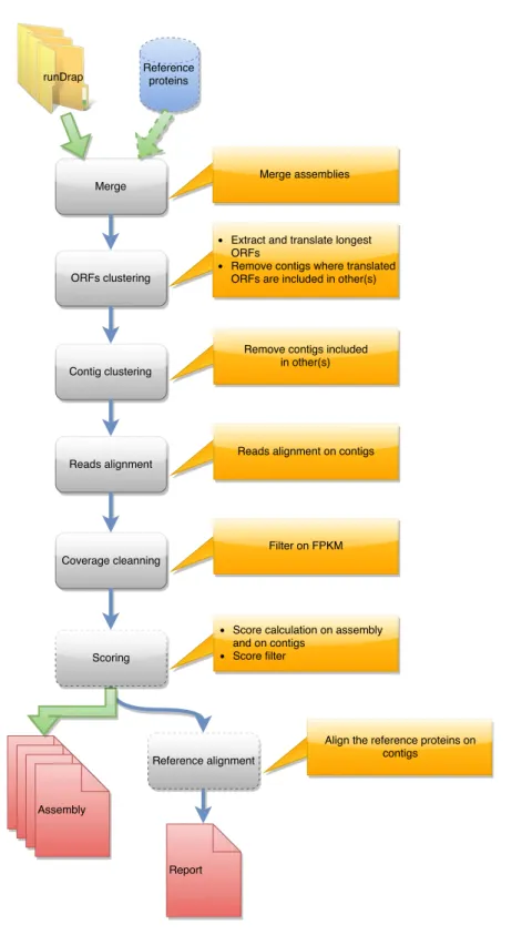 Figure 2 Steps in runMeta workflow. This workflow is used to produce a merged assembly from several samples/tissues/development stage outputted by runDRAP