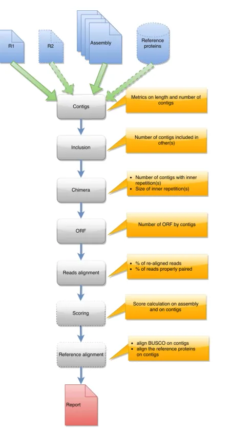 Figure 3 Steps in runAssessment workflow. This workflow is used to evaluate quality for one assembly or for compare several assemblies produced from the same dataset