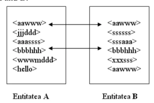 Figure 1 – The entity E 