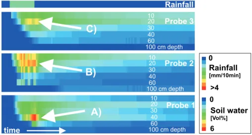 Fig. 3. Rainfall simulation with dye tracer at the locations of the soil moisture probes: amount of dye applied: 25 mm, intensity of application: 8.3 mm/h