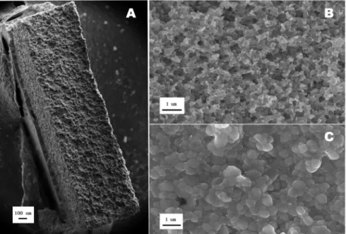 Fig 2. Scanning electron microscopic images of representative specimens from the hydrofluoric (HF) acid-immersed groups (A, B) and the other groups (C)