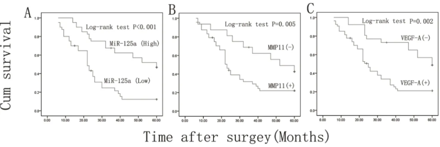 Table 5. Univariate and multivariate analyses of clinical parameters associated with prognosis.