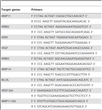Table 2. Primers for qRT-PCR.