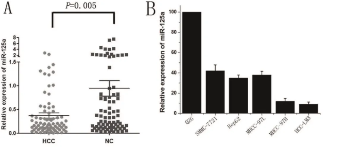 Table 3. MiR-125a and MMP11 expression correlated with clinical features of patients.