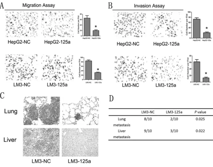 Figure 3. Suppression of cell invasion and metastasis in vitro and in vivo by over-expression of miR-125a