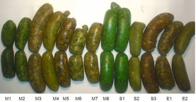 Figura 1. Chorizos verdes que se comercializan en la ciudad de Toluca 